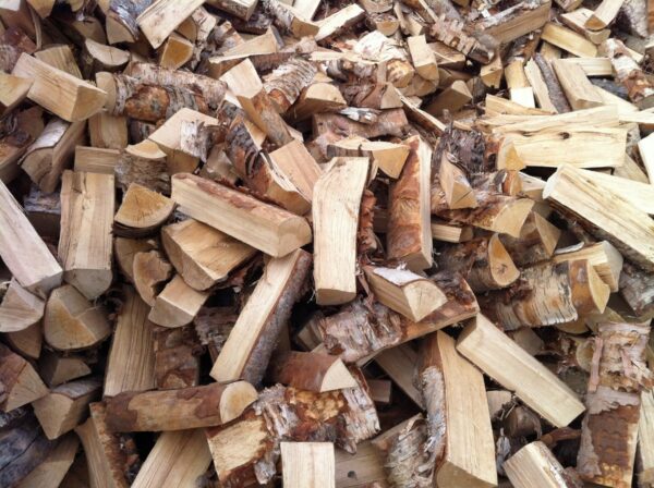 birch firewood for sale