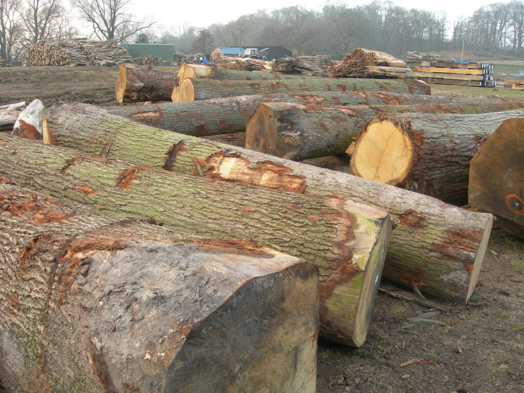 oak wood for sale